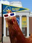 BlueHens CTF Icon